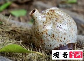 天青泥柴烧紫砂壶：浅蓝紫雾气什么颜色吗？