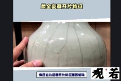 今天就来教你们最全的瓷器开片特征！这几点学会后鉴定从此不求人