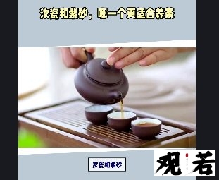 让我们一起来探讨汝瓷和紫砂，但哪一个更适合养茶呢？