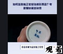 你是否曾为鉴别雍正官窑珐琅彩真品而苦恼？今天，我将为你揭秘鉴别真品的诀