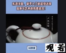 东道汝窑，新手入门的最佳选择，品质与艺术的完美结合！