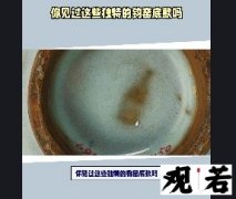 你见过这些独特的钧窑底款吗？今天带你们看看钧窑底款大全！