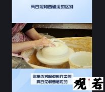 你是否对陶瓷制作中的高白泥和普通泥的区别感到困惑？今天就来为你揭秘！